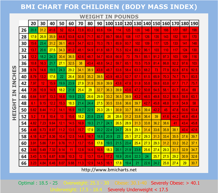 Body Mass Index Chart In Kg And Feet